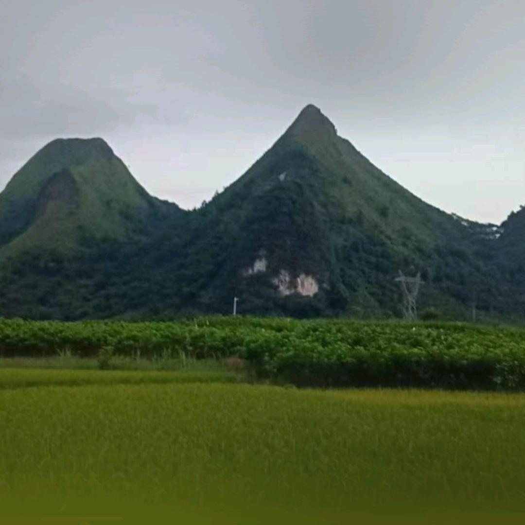 欣赏祖国大好河山、人杰地灵，韦日苏