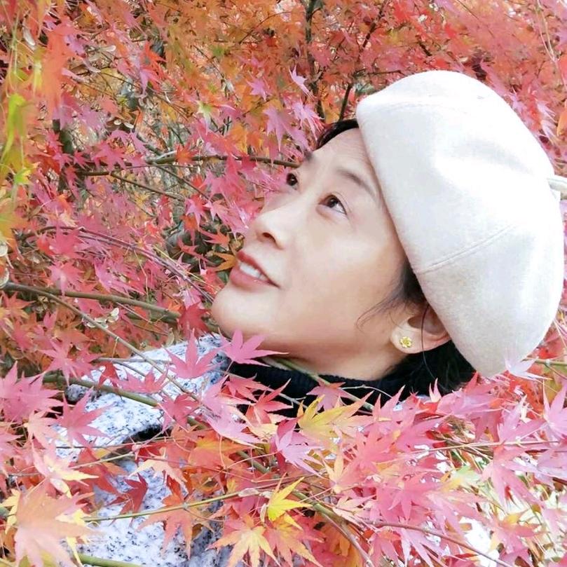 九月菊