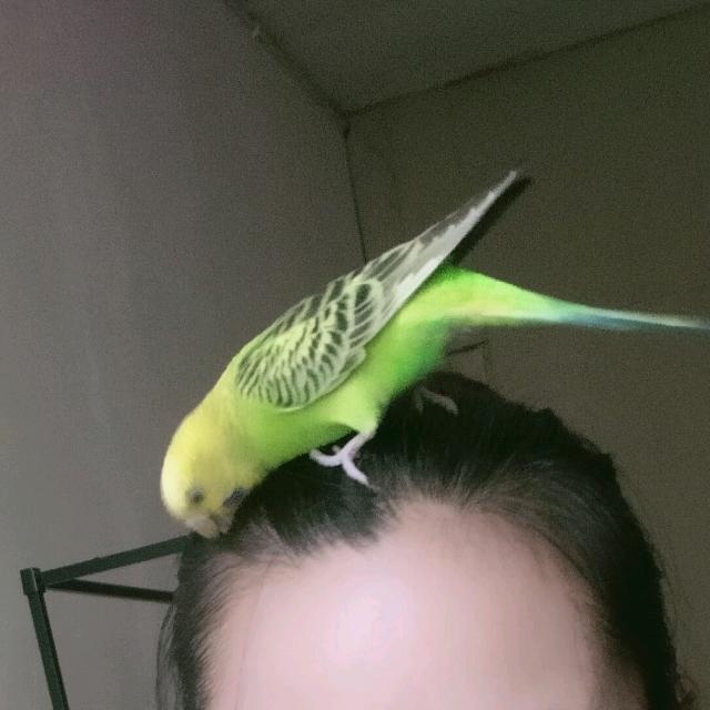 ꧔ꦿ℘余生💞᭄᪲ᩚ꯭ᩚ安好꧔ꦿ᭄