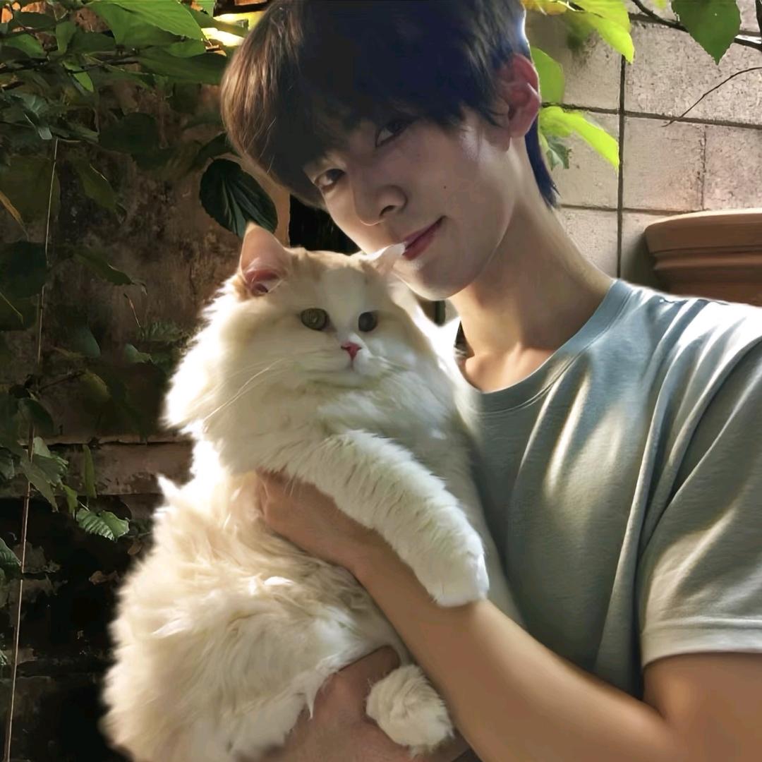 小猫咪也会说话