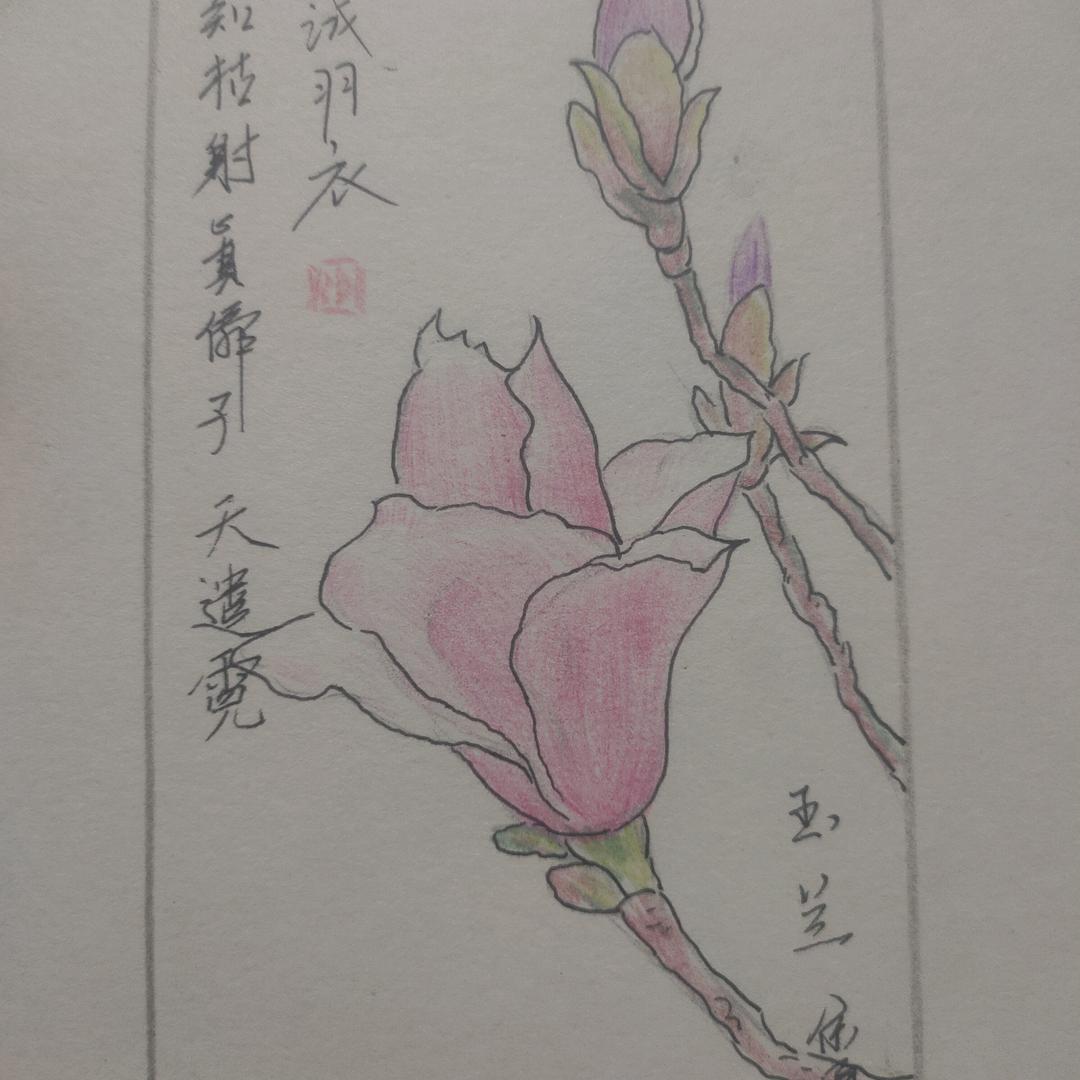 实诚