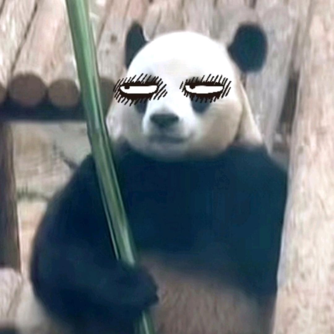 贾仁慈