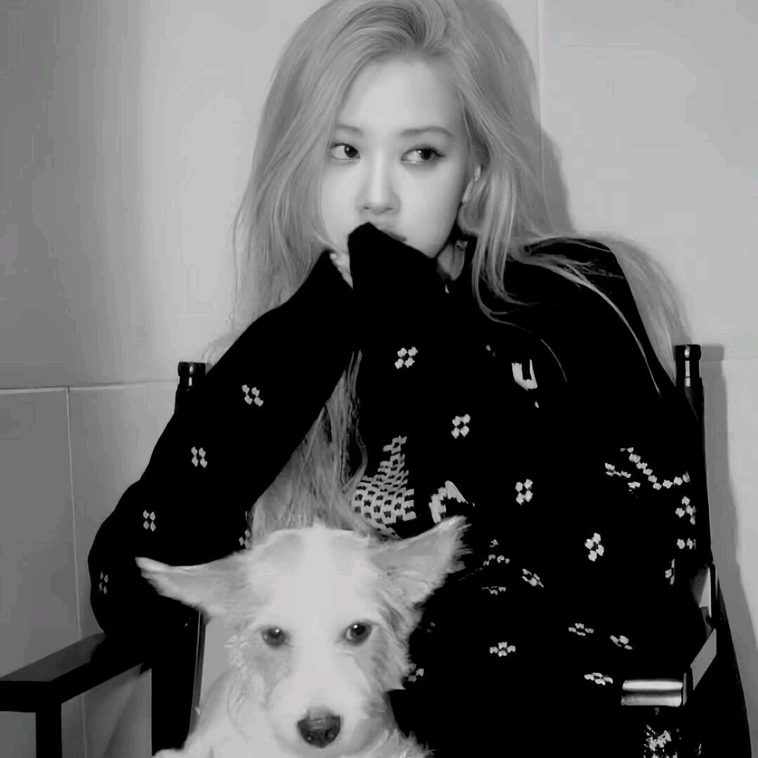 nafisa