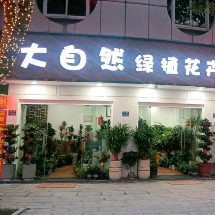 福鼎山前大自然绿植花卉
