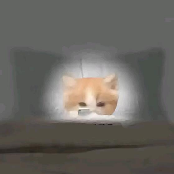 养殖户