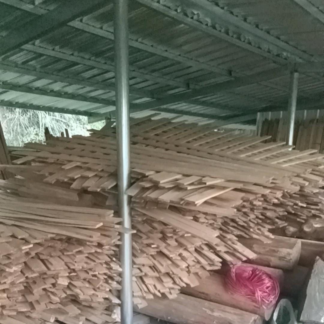 🚘🍎幸福一家人🧧🍇🍇🍇