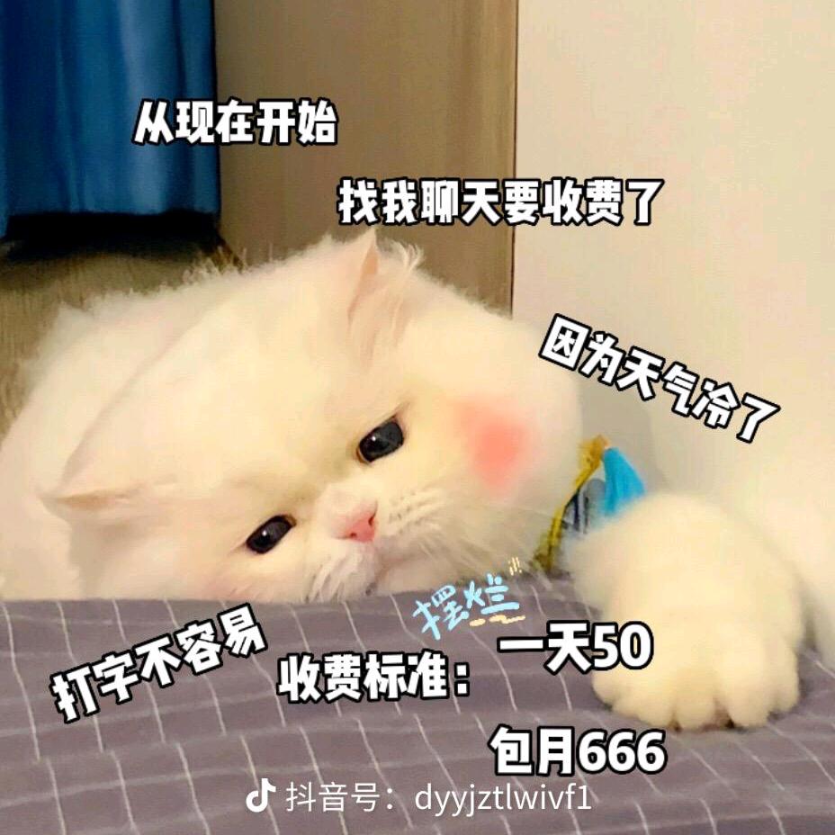 甜甜爱吃蛋糕