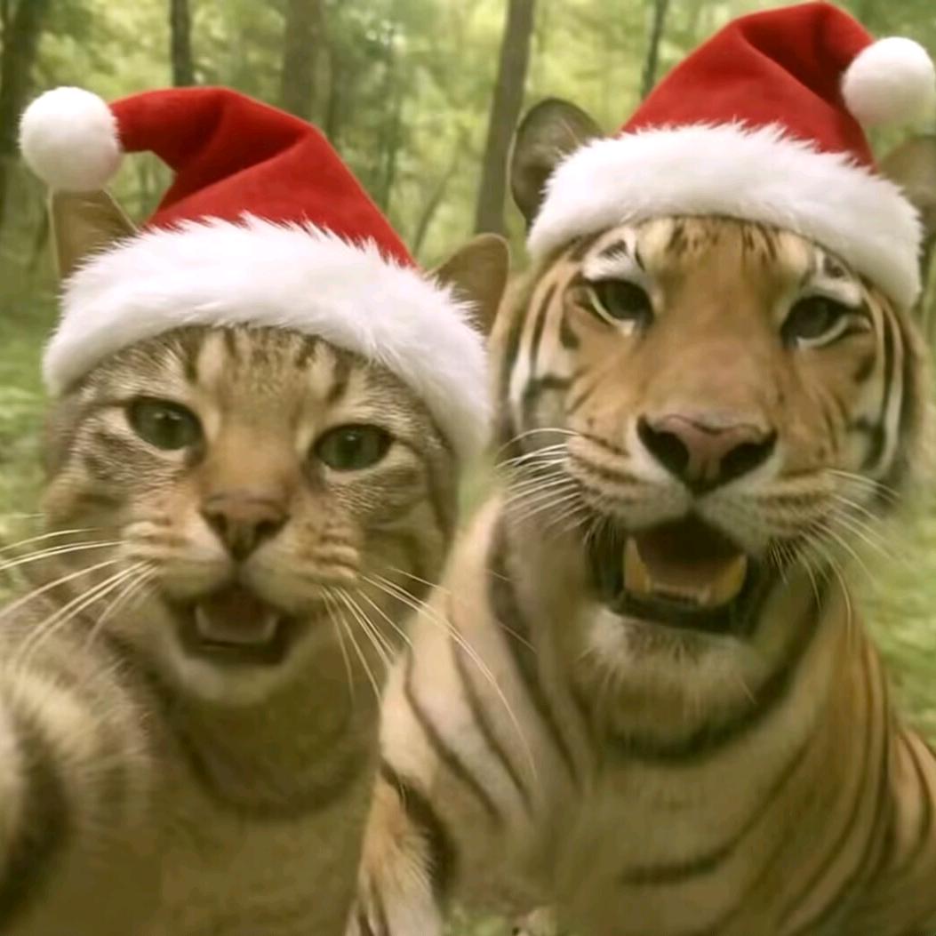 阻止老婆出轨反被打断腿