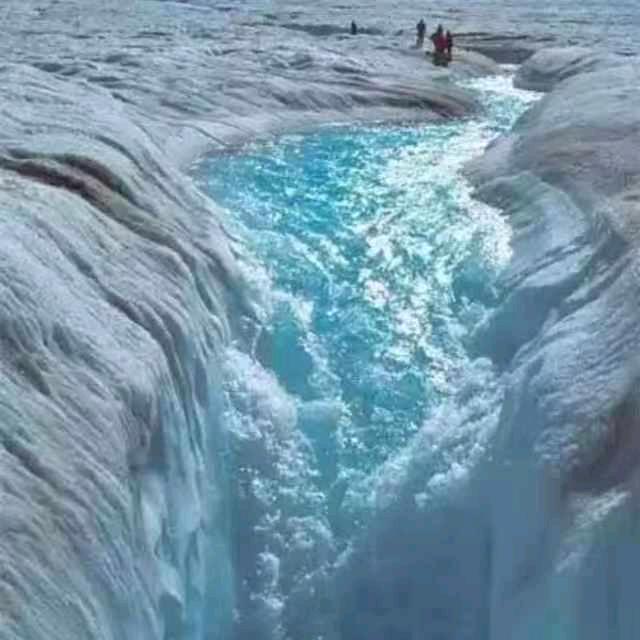 寒夜（王者菜菜小鲁班）