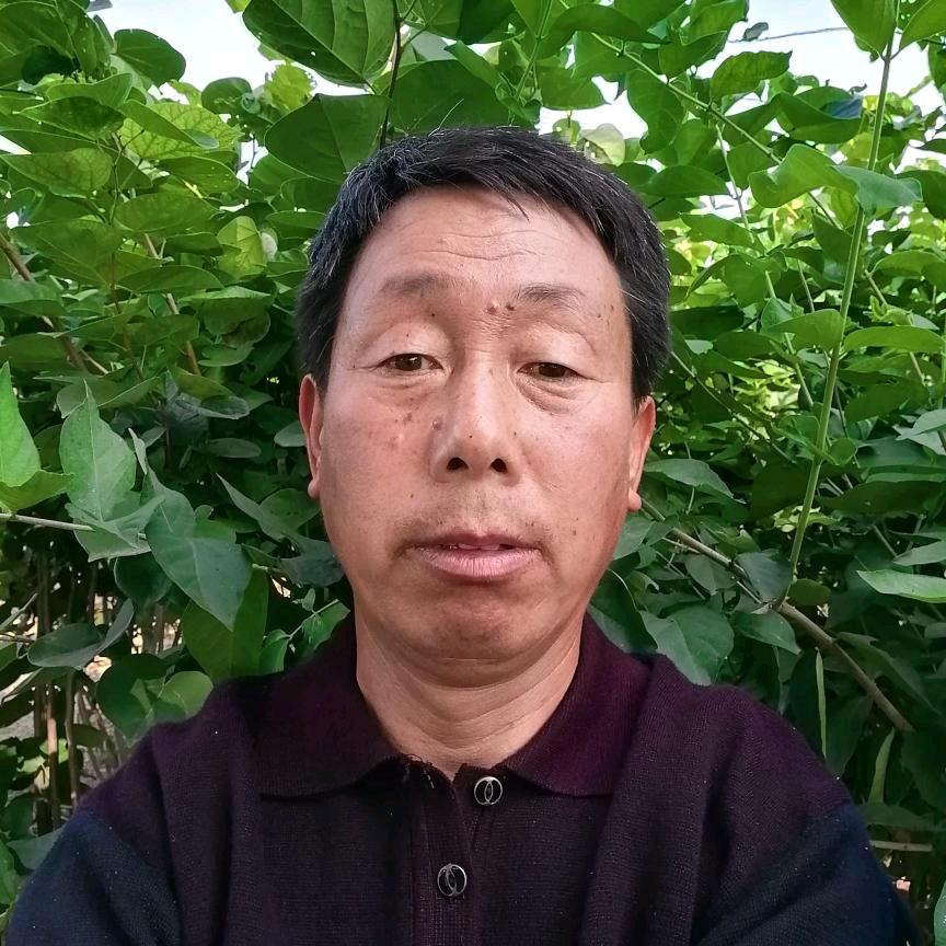 寿光老孙