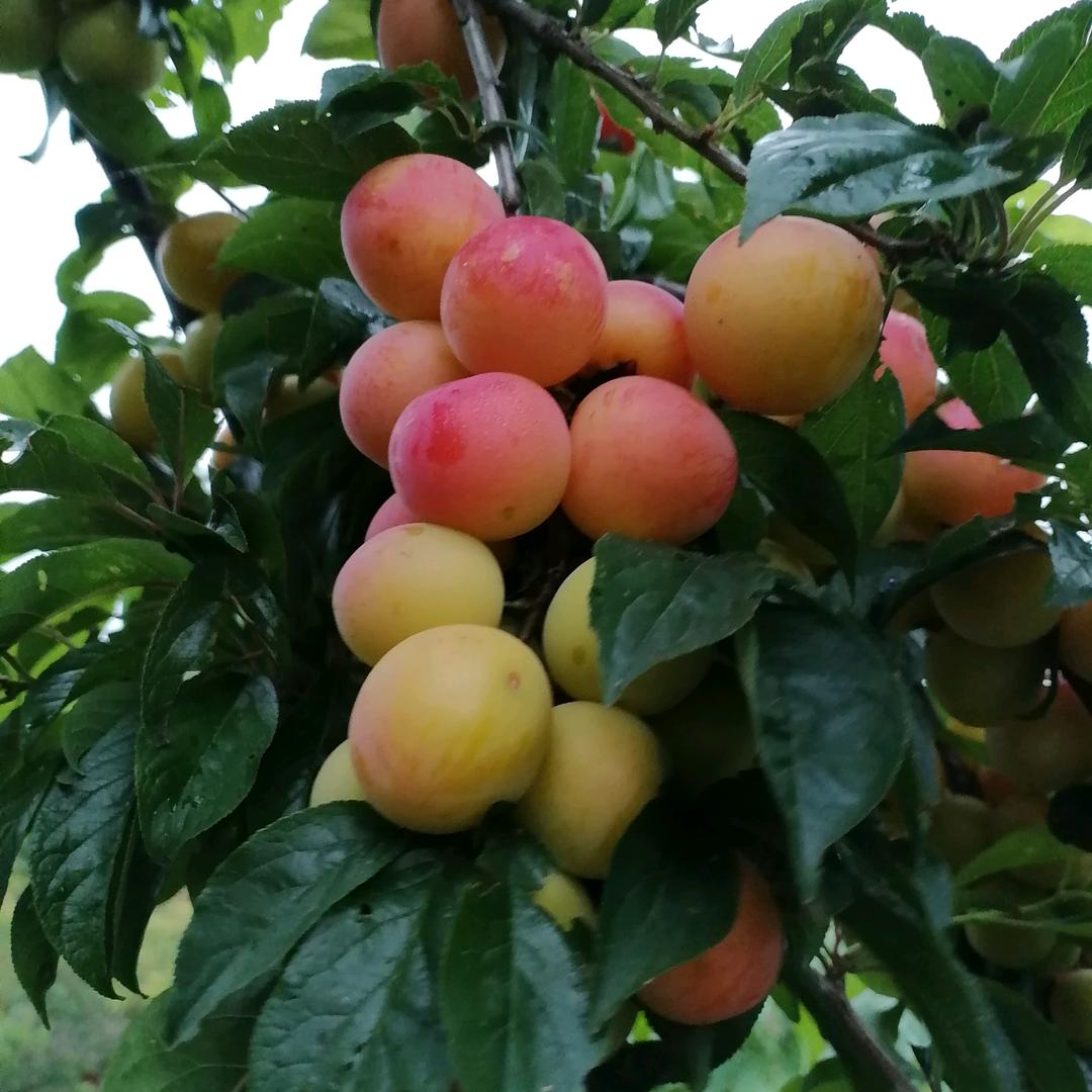 修改中，请稍后