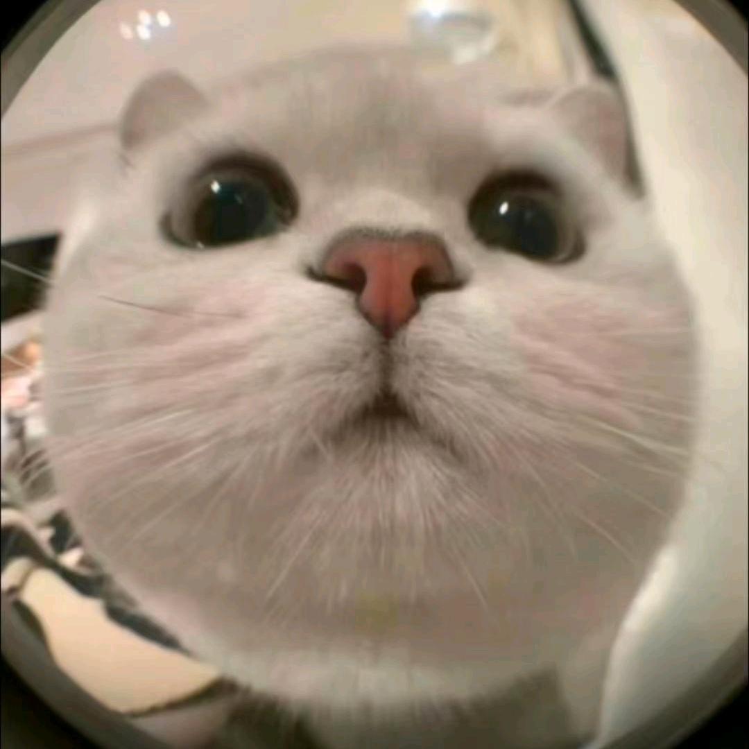 好事花生（店长版）