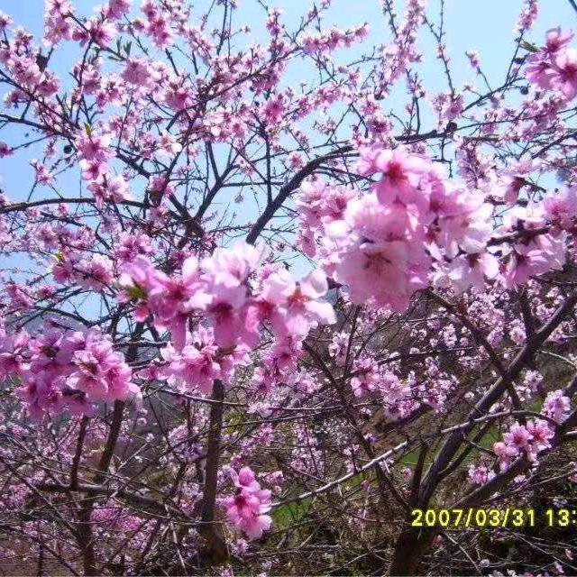 回不到从前的我🤪