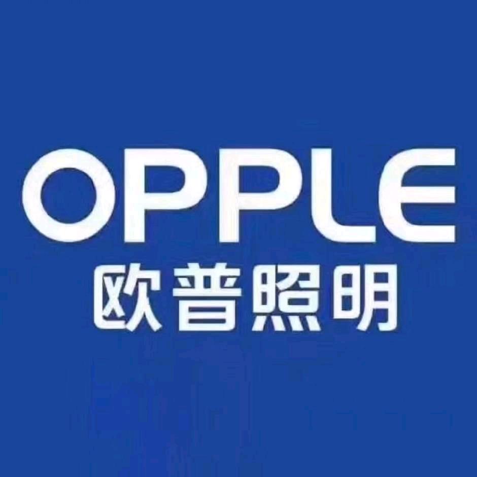 欧普照明（金佳凰）