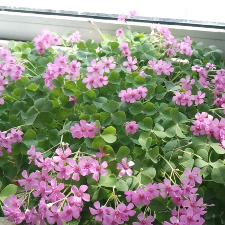 @泰安水电暖：壁挂炉，热水器，太阳能