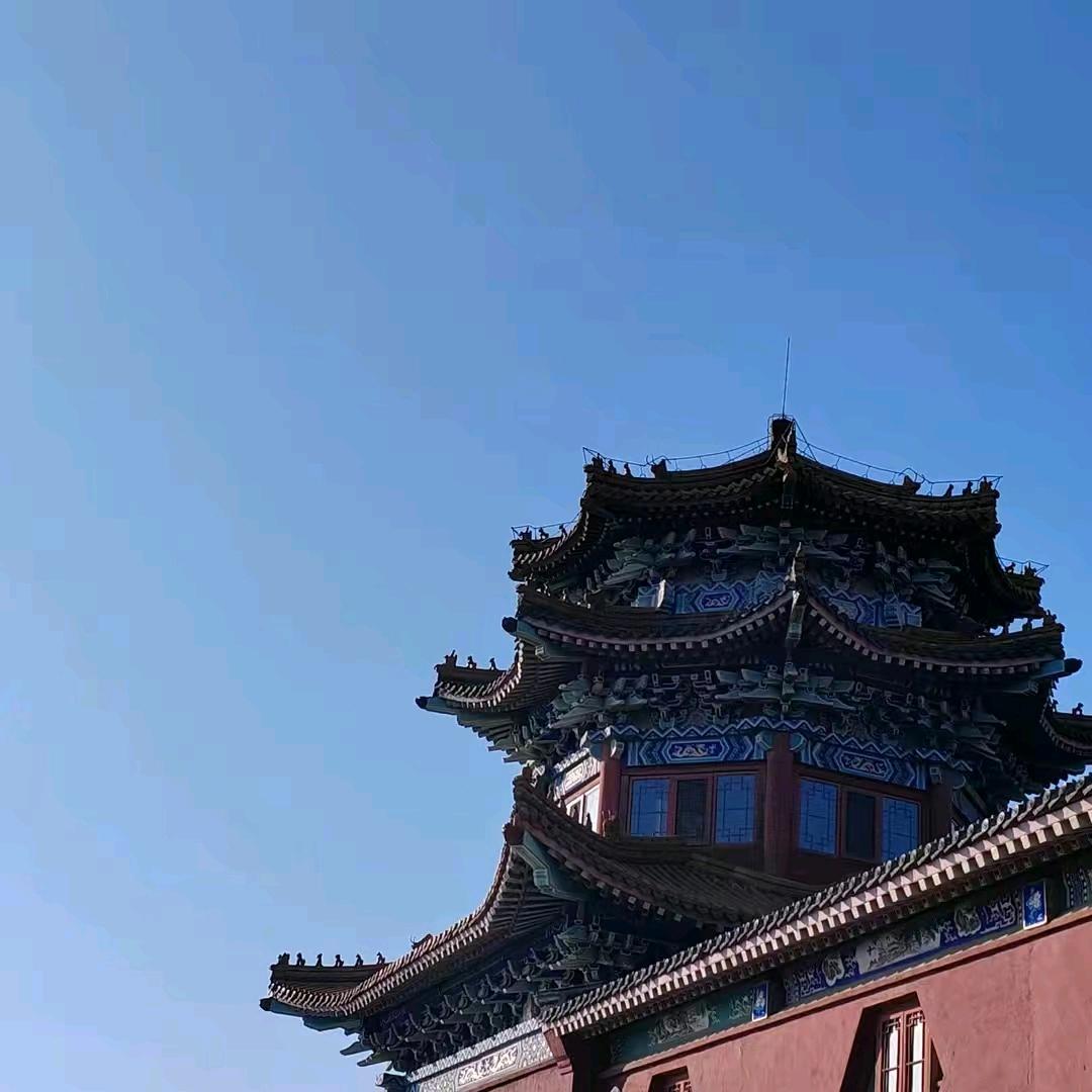 一棵小小草头像