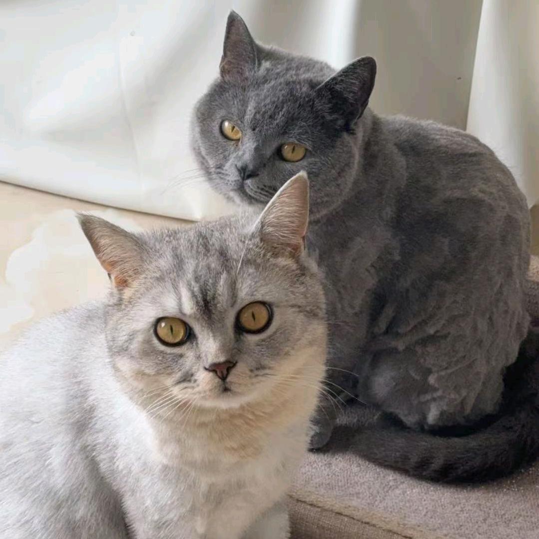 大头blue&小头咪