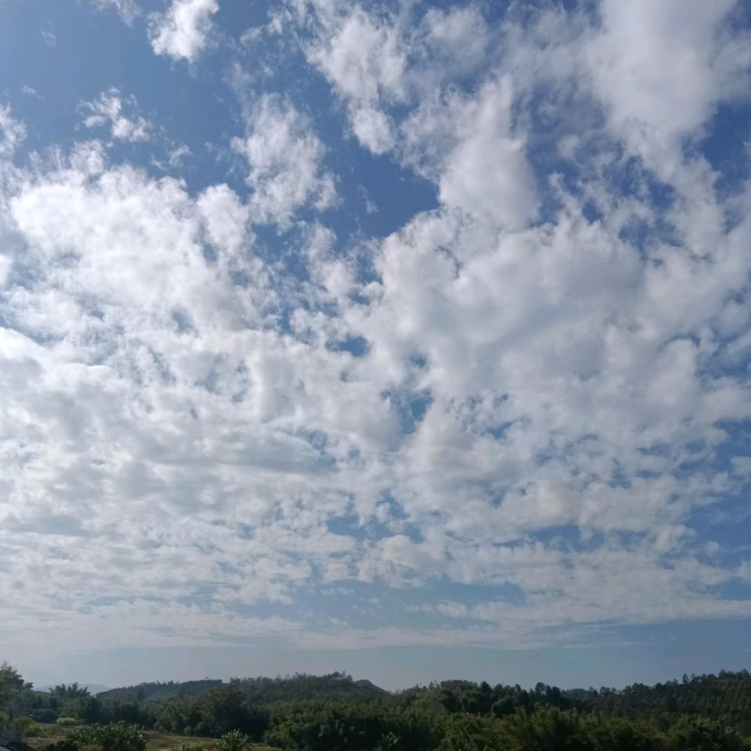 刘生