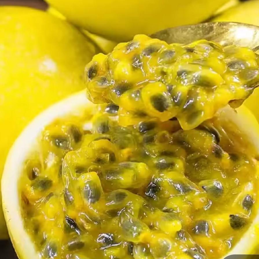 胖胖（好物在厨)