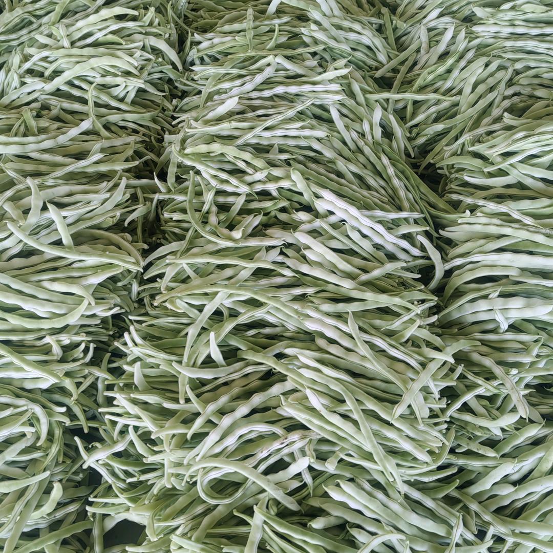 大海