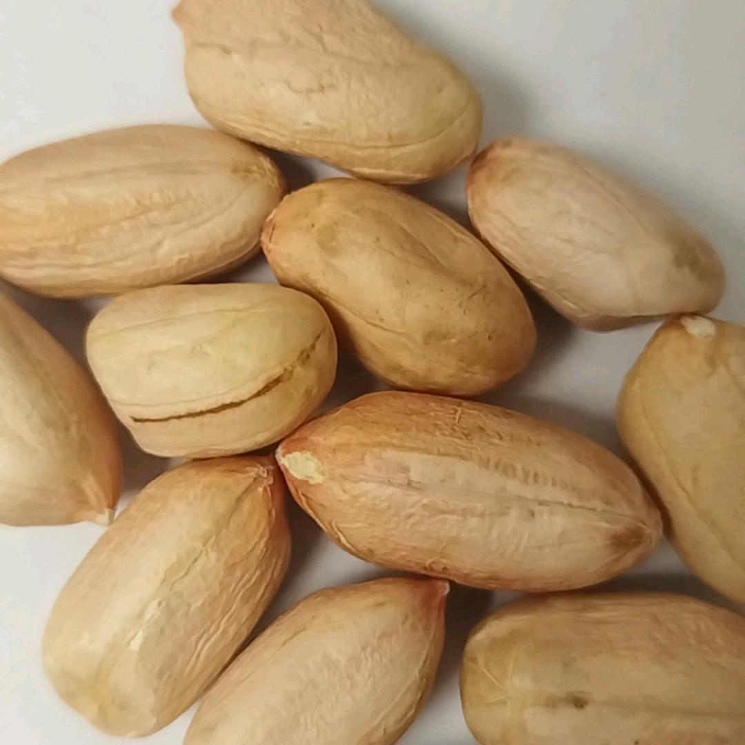 齐鲁瘪花生