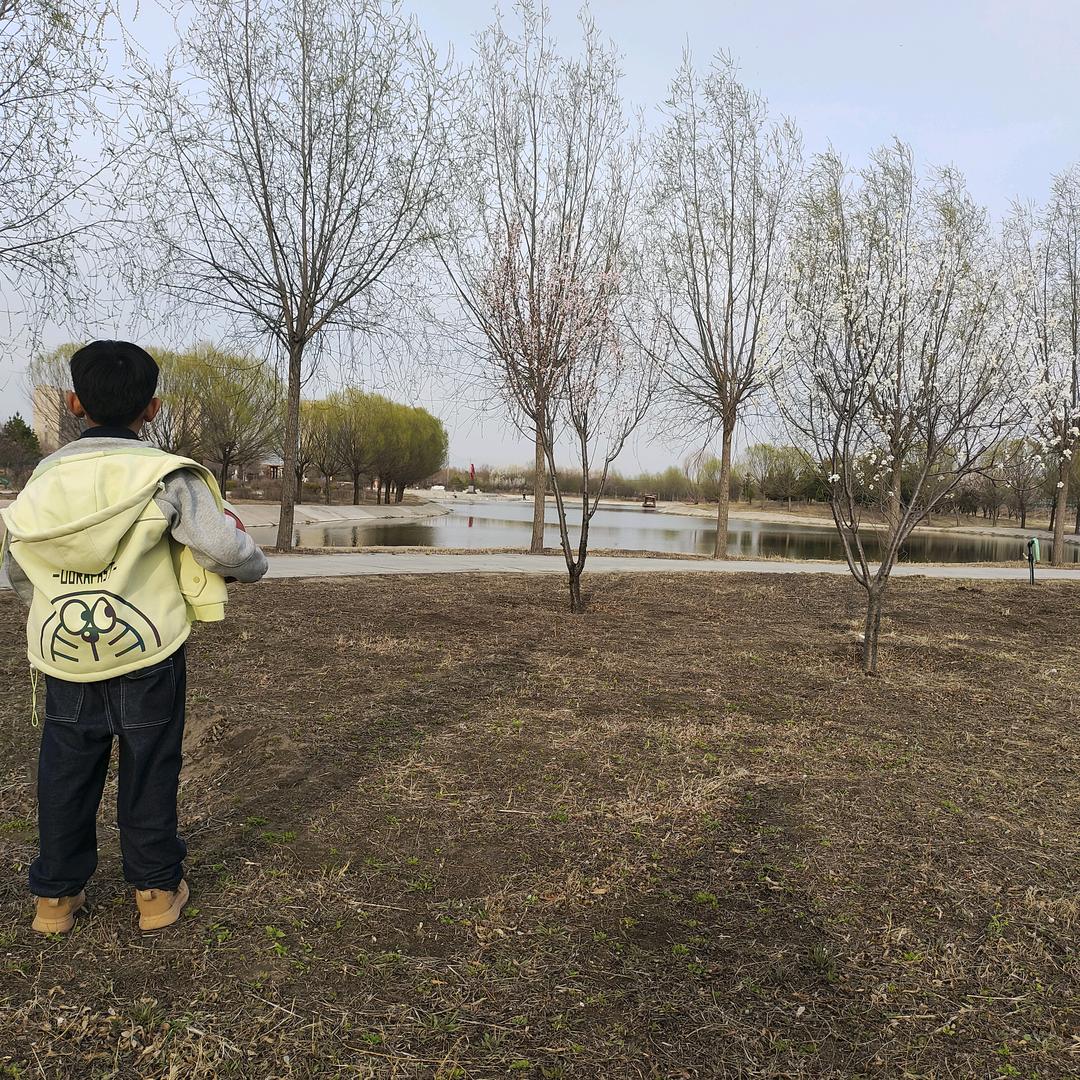 马老三