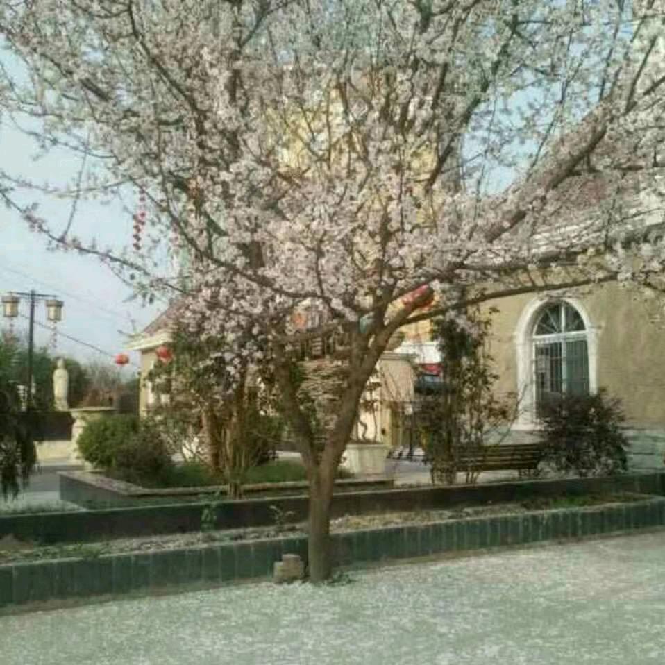 源潇托育