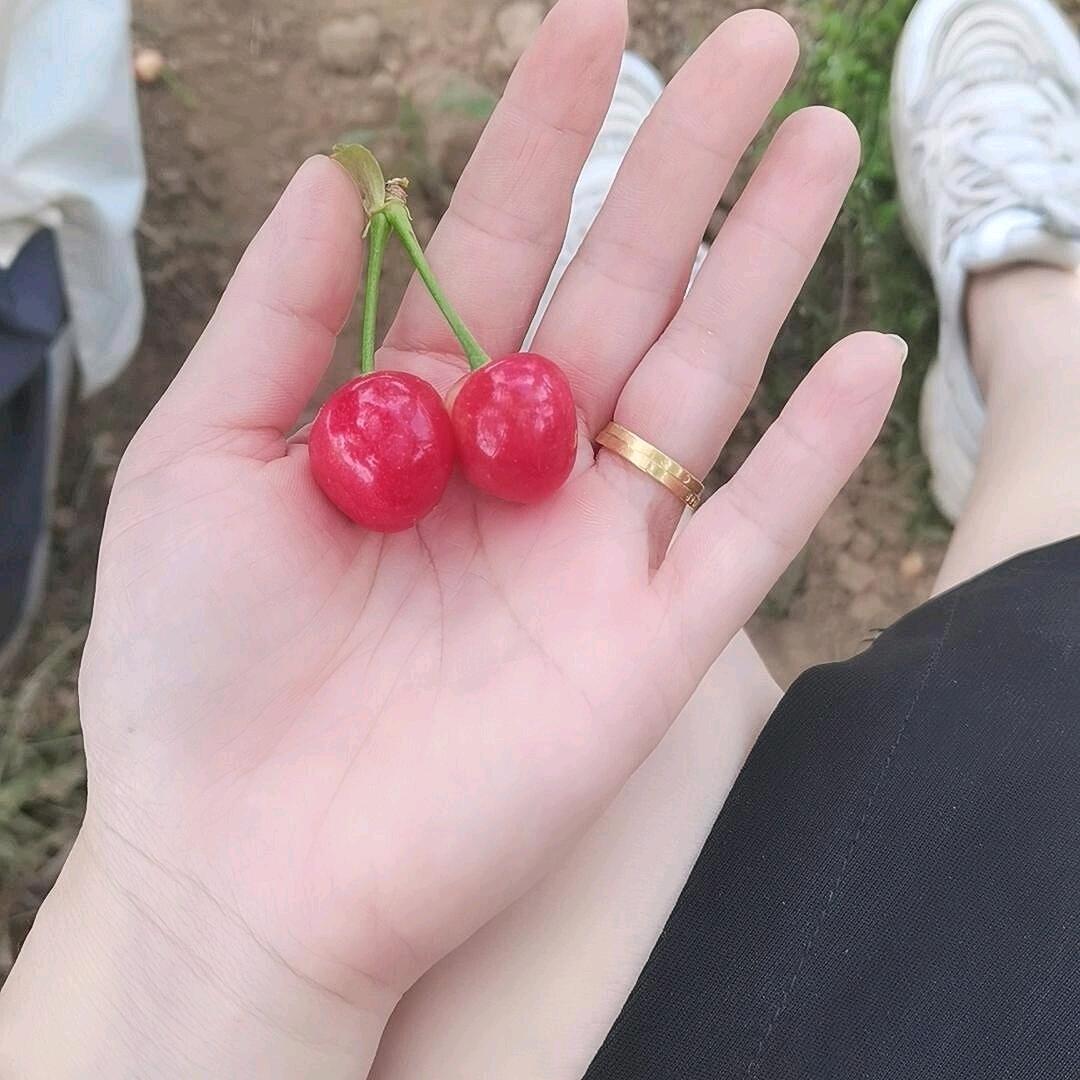______🌻