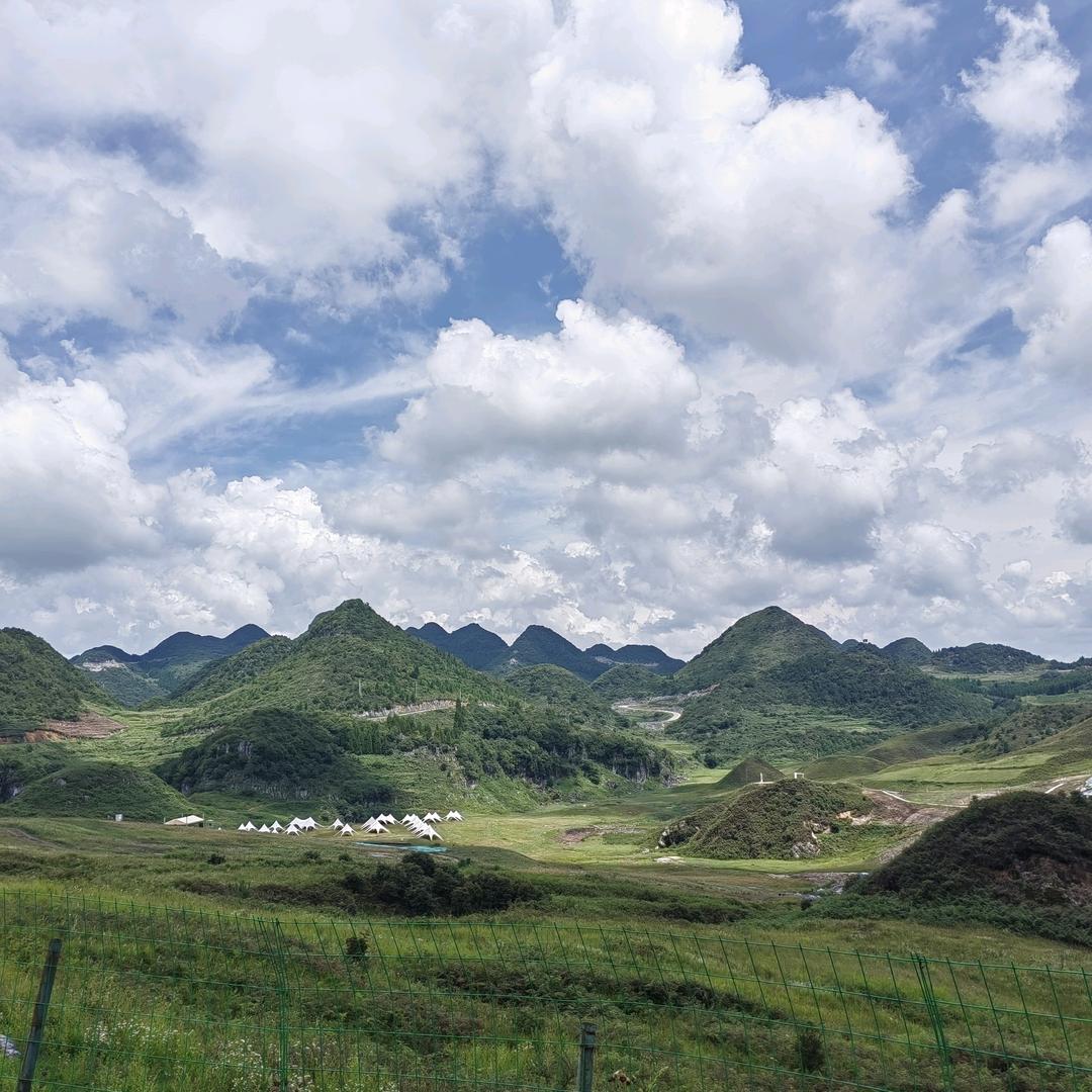 有所不同