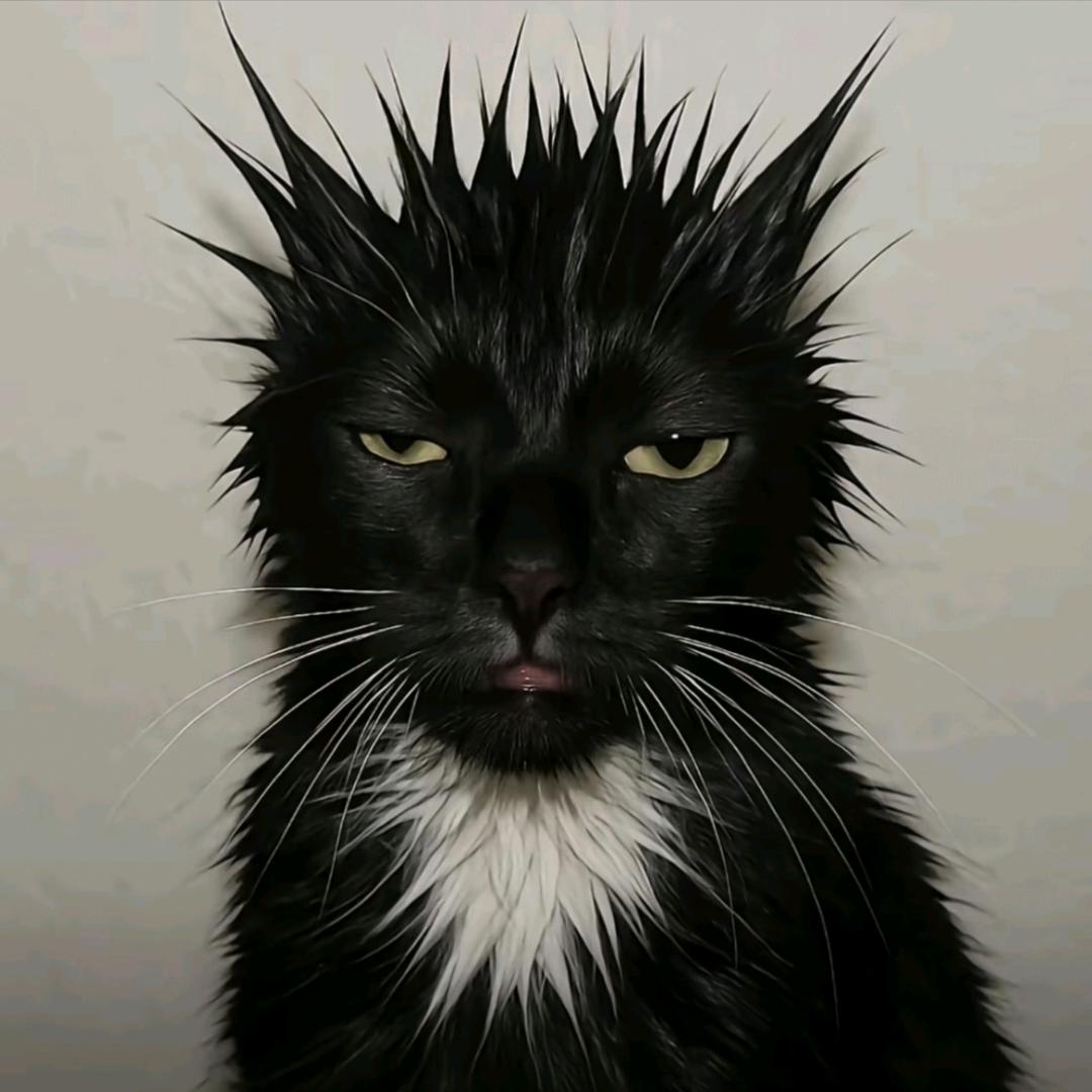🌪