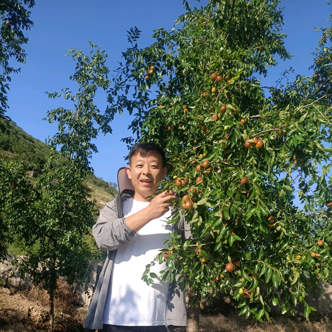 枣乡勋哥