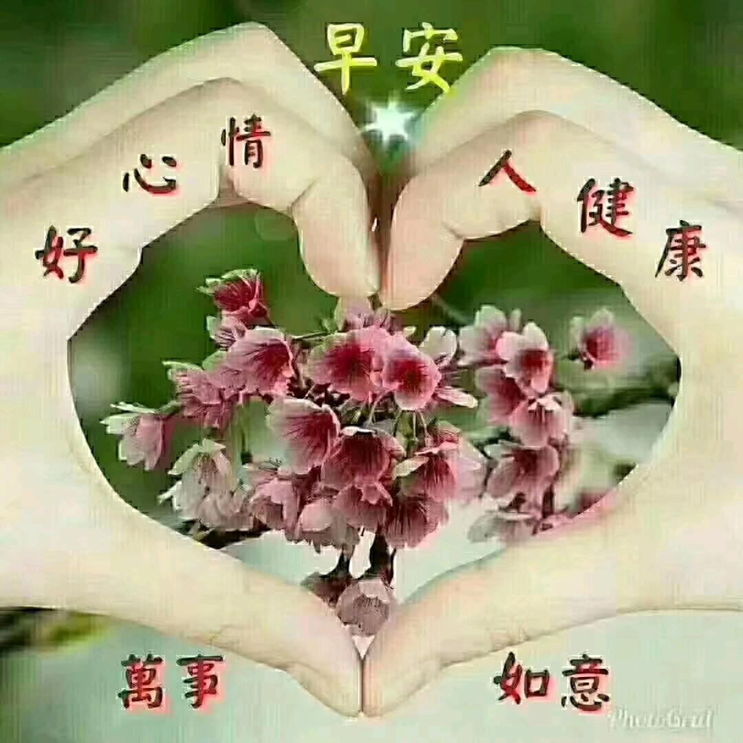 龐哥