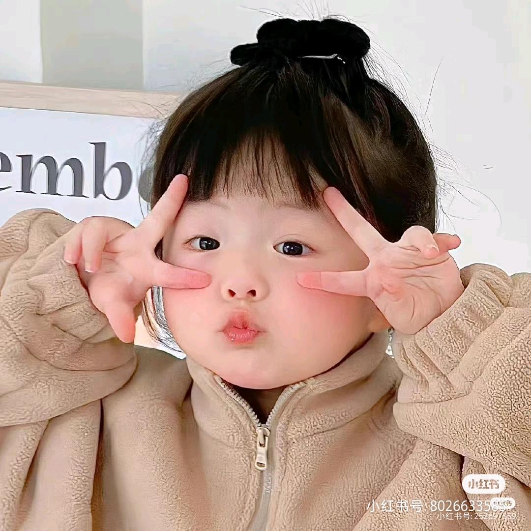 是凡凡呀🌸