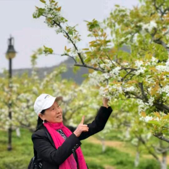 工人村小华