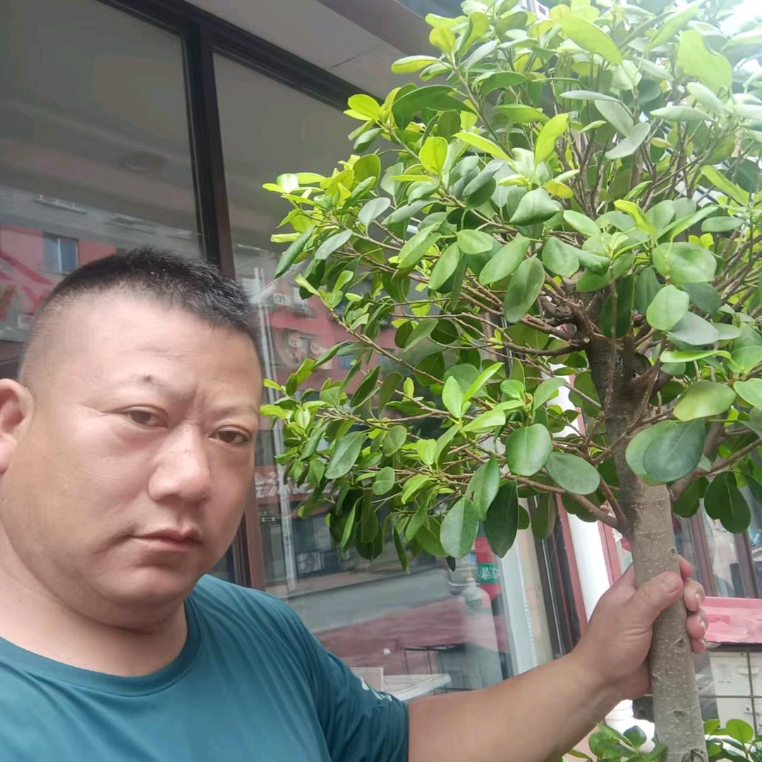 抚顺鑫维佳系统门窗