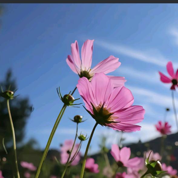 ٩(￥A￥)۶恭喜发财