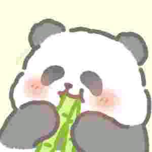 🐼熊猫🐼