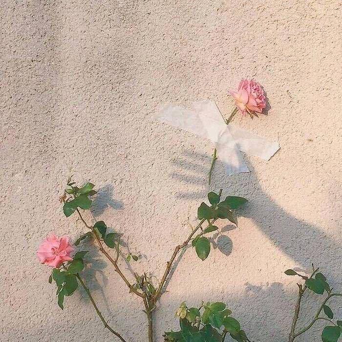 用户8502724022595