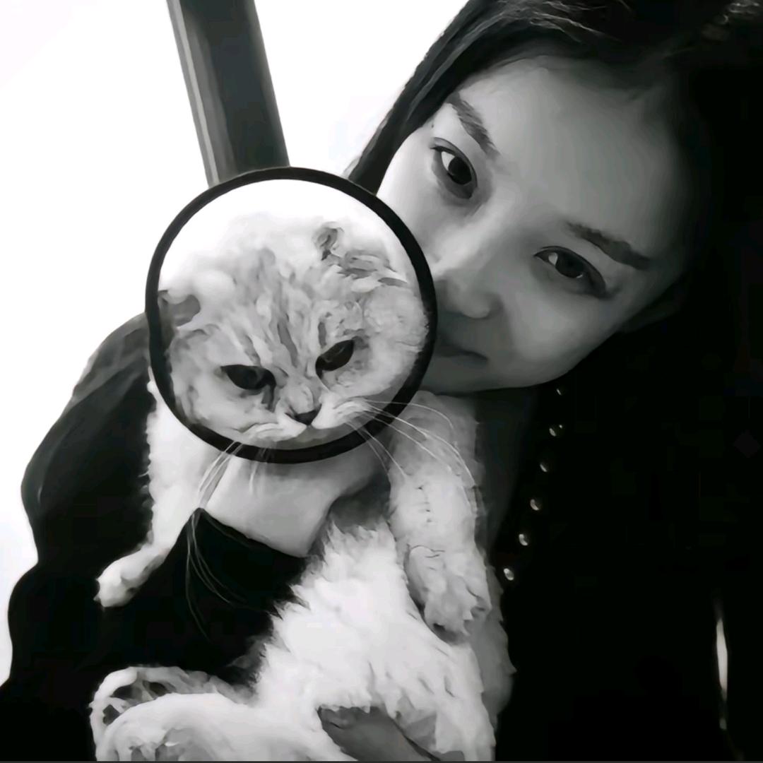我的心整栋出租