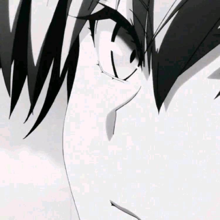 一只会耍炸弹的猫