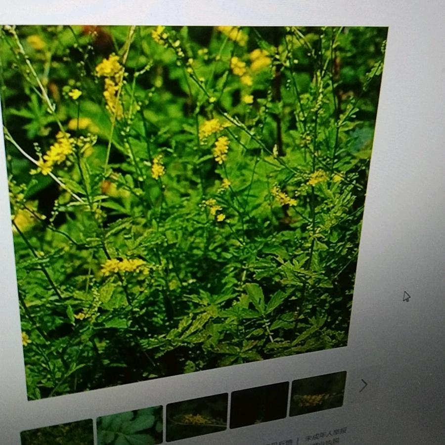 我的生活很简单