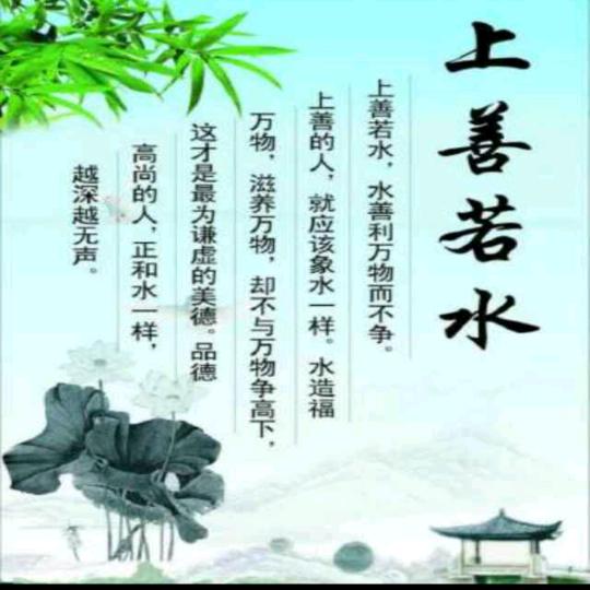 万宣333
