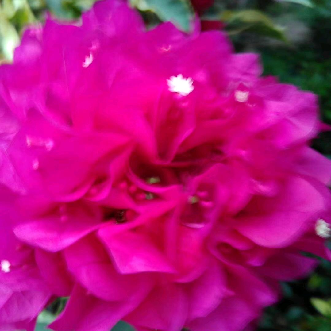 ❤ 余生随心❤️