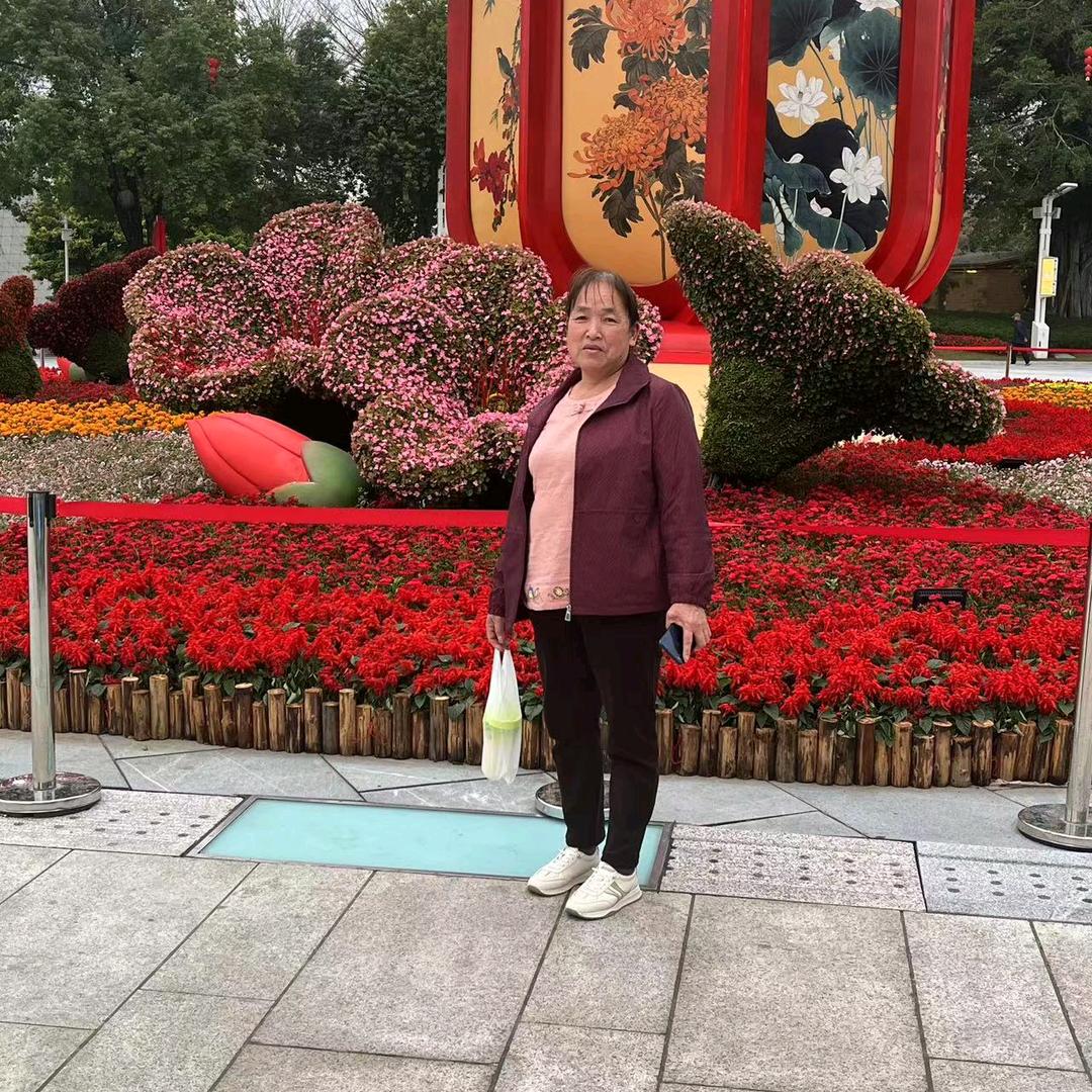 十二✔