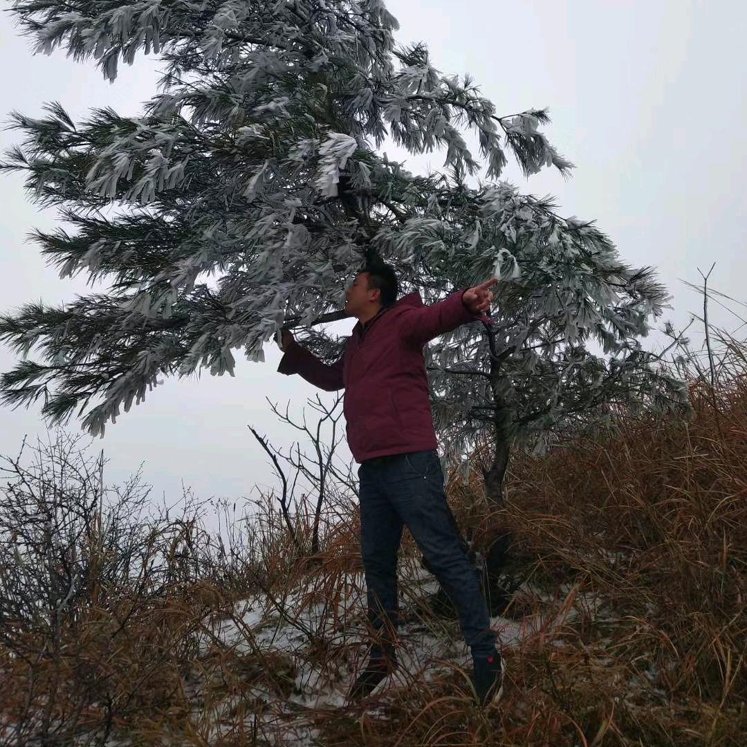 阿明