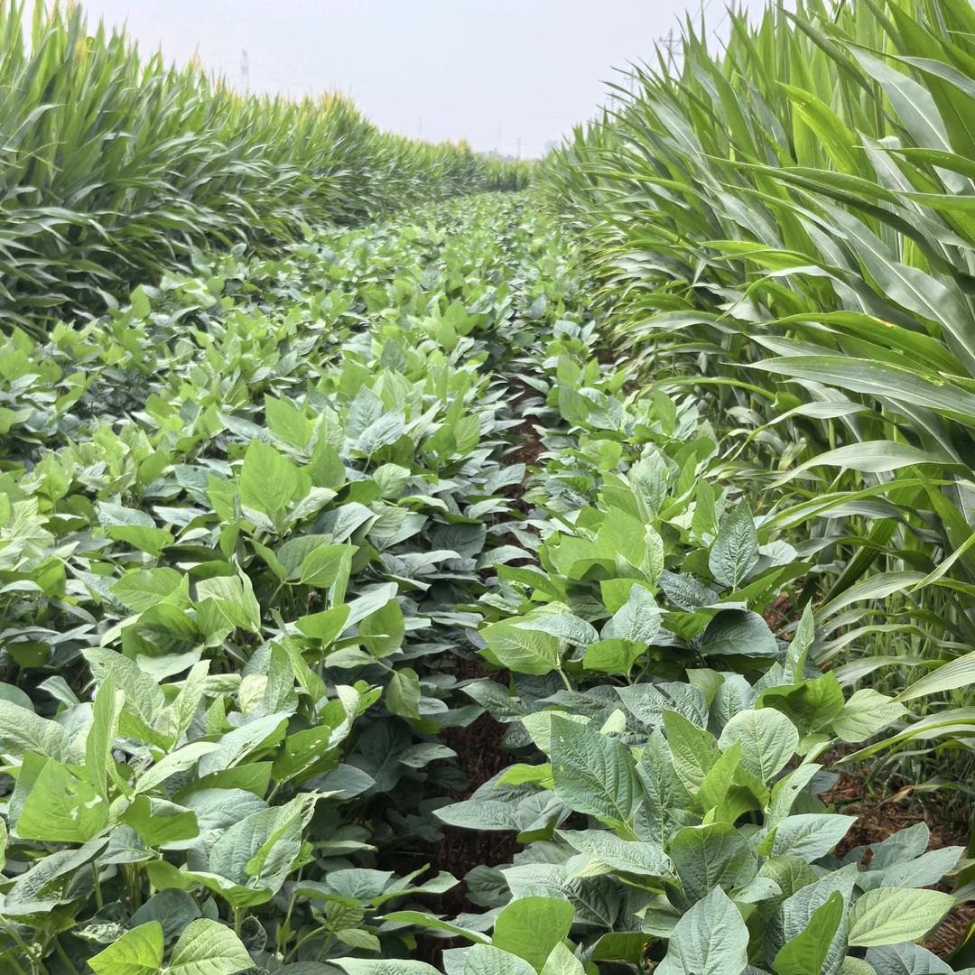 春夏秋冬🌹🌿🌾❄️