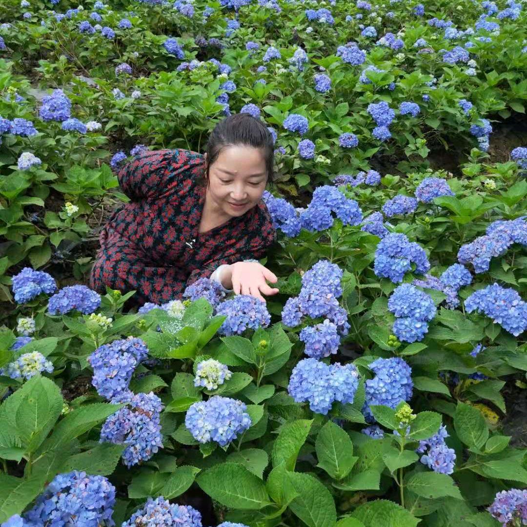 蔡泽容110
