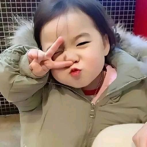 ✨️随缘🍀🦜