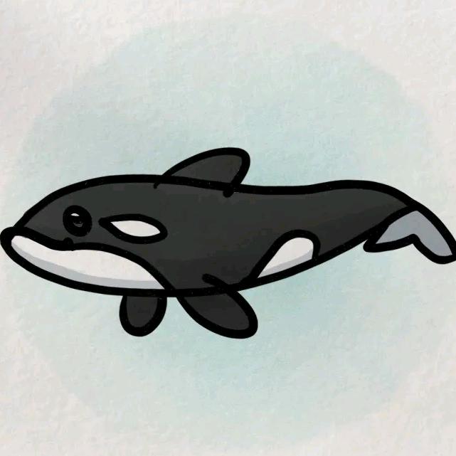 Orca