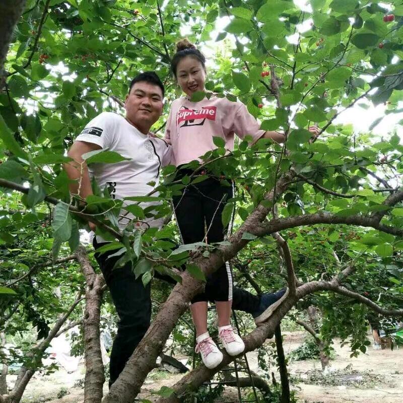 辛店镇👉鹏飞门业